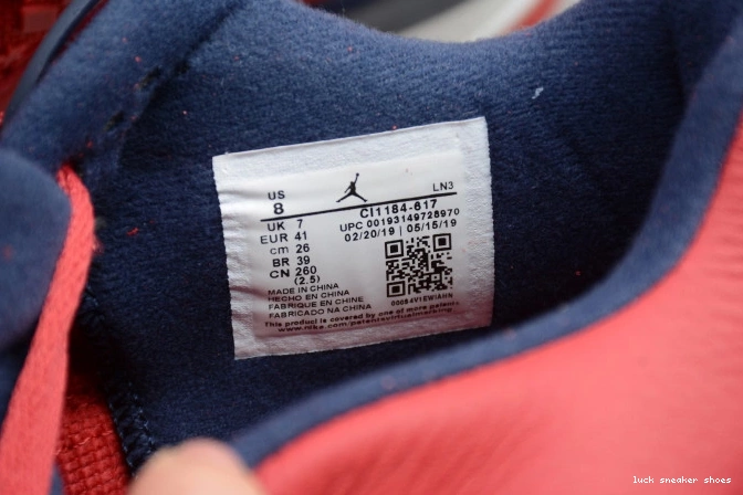 Rep LUCY CI1184-617 Jordan 4 FIBA SE Air 0729